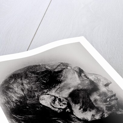 Display of a Mummy's Head by Anonymous