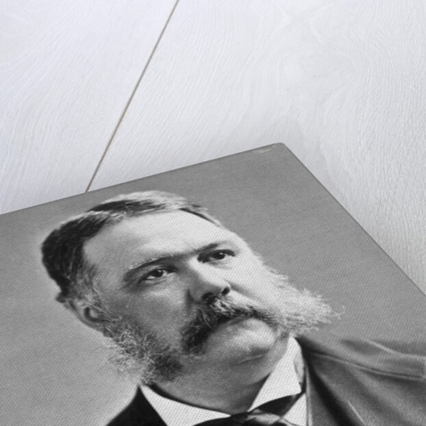 President Chester A. Arthur by Anonymous