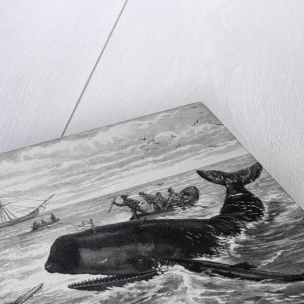 Fishermen Harpooning Sperm Whale by Anonymous