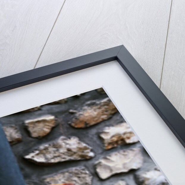 French Bread Strapped to a Bicycle by Anonymous