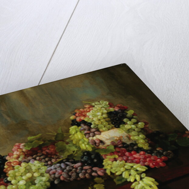 Grapes by Alberta Binford McCloskey