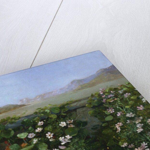 San Francisco Garden by Alberta Binford McCloskey