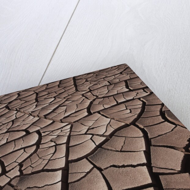 Deep Cracks in the Desert by Anonymous
