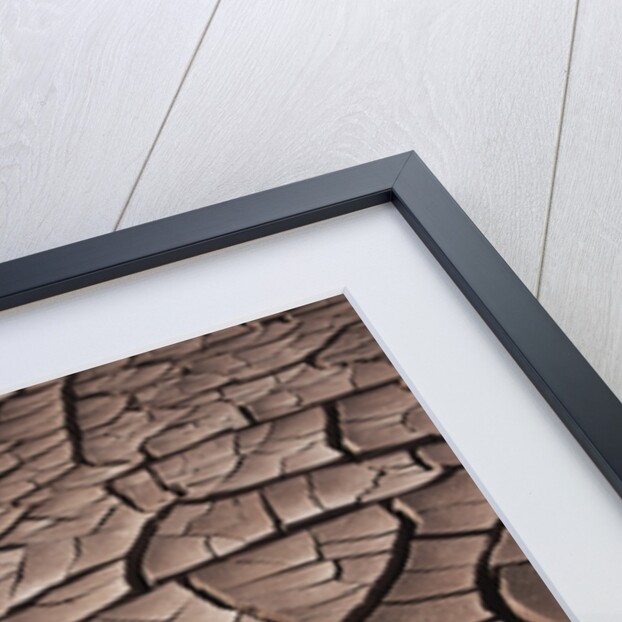Deep Cracks in the Desert by Anonymous