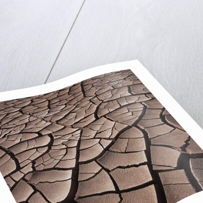 Deep Cracks in the Desert by Corbis