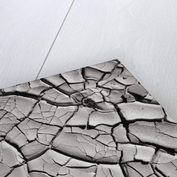 Cracked Desert Mud by Anonymous