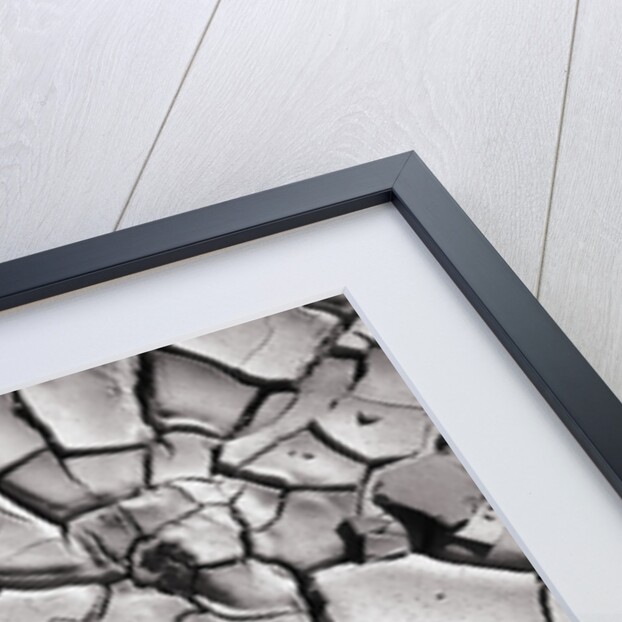 Cracked Desert Mud by Anonymous