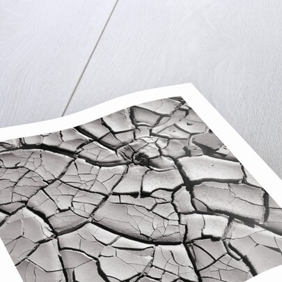 Cracked Desert Mud by Anonymous