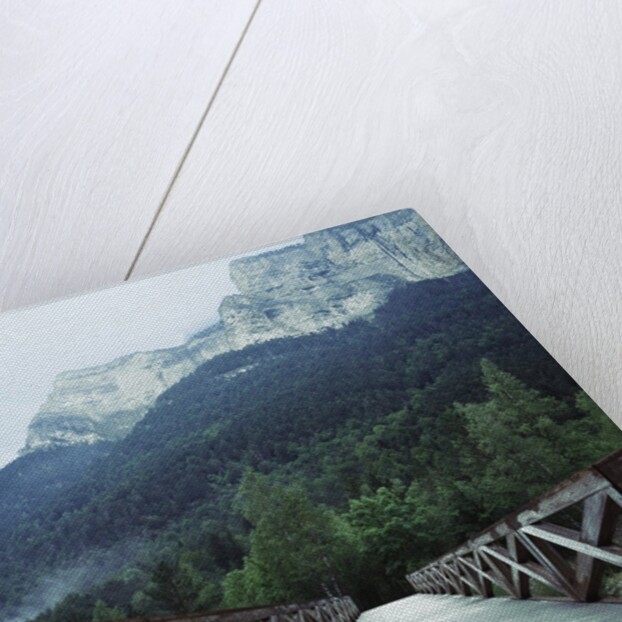 Footbridge Spanning the Base of a Valley by Anonymous