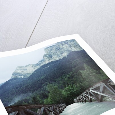Footbridge Spanning the Base of a Valley by Anonymous