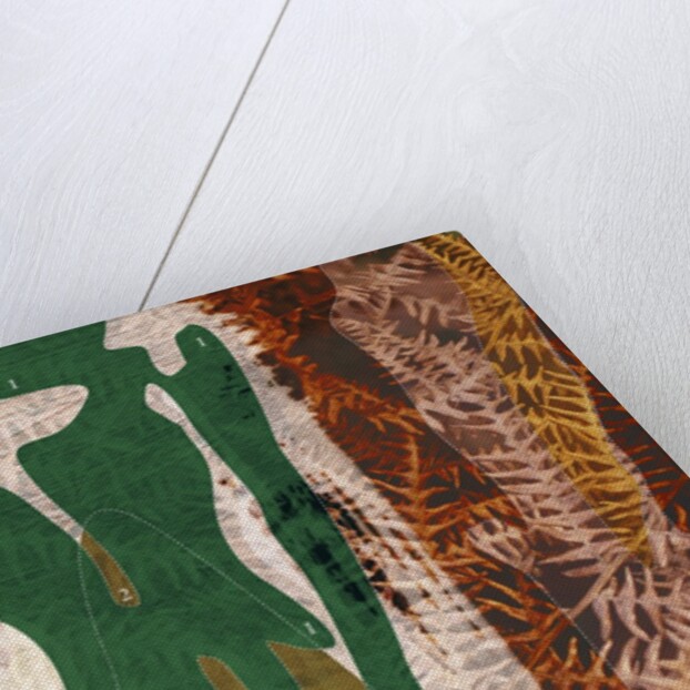 Camouflage Diagram Over Dry Ferns by Anonymous