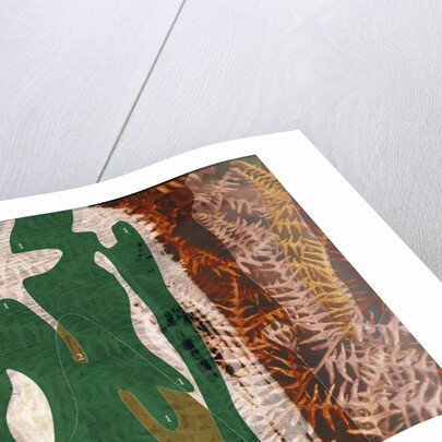 Camouflage Diagram Over Dry Ferns by Anonymous