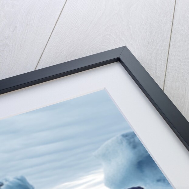 Icebergs Reflected in Water by Anonymous