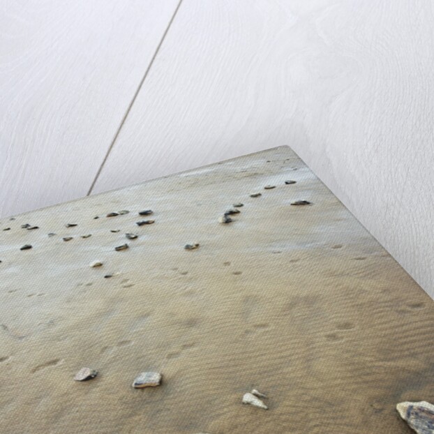 Rock-Strewn Beach by Anonymous