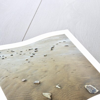 Rock-Strewn Beach by Anonymous