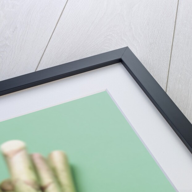 Bunch of Asparagus by Anonymous