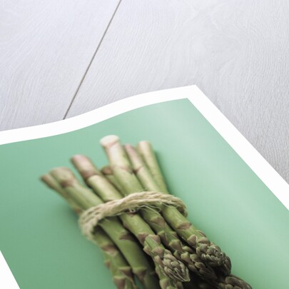 Bunch of Asparagus by Anonymous