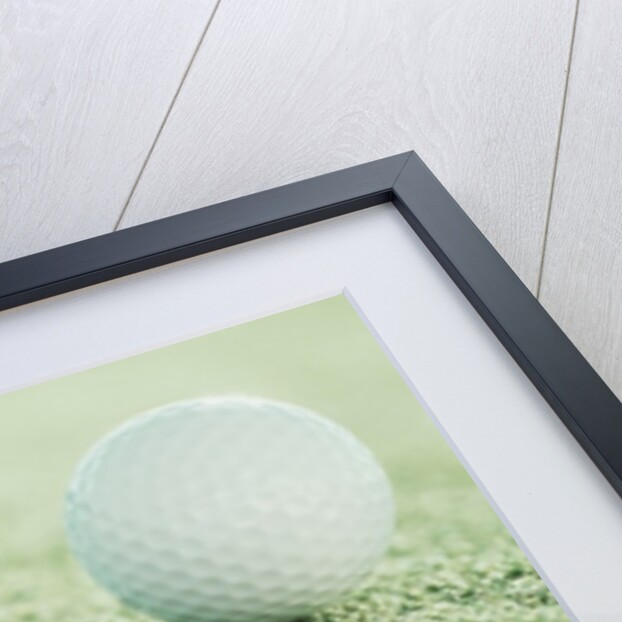 Golf Ball on the Edge of the Hole by Anonymous