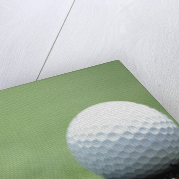 Golf Ball Sitting on the Green by Anonymous