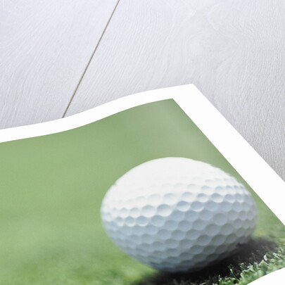 Golf Ball Sitting on the Green by Anonymous