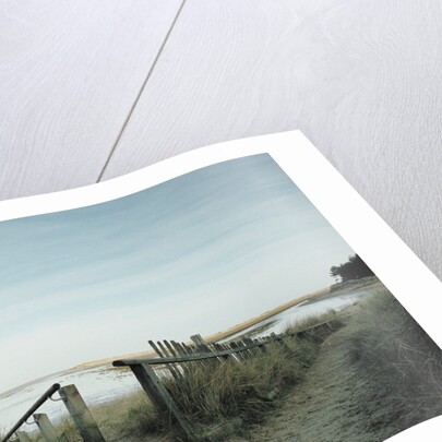 Railing Converging on a Beach by Anonymous