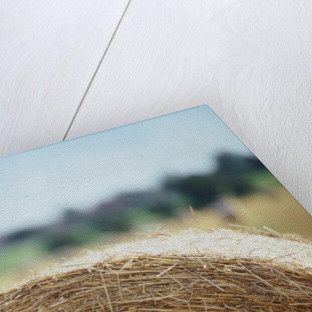 Top of Bale of Hay by Anonymous