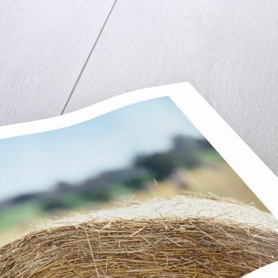 Top of Bale of Hay by Anonymous