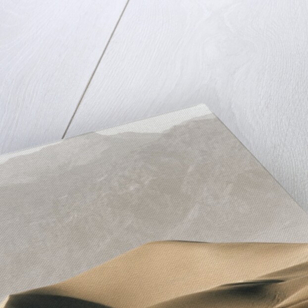 Dunes in the Desert by Anonymous