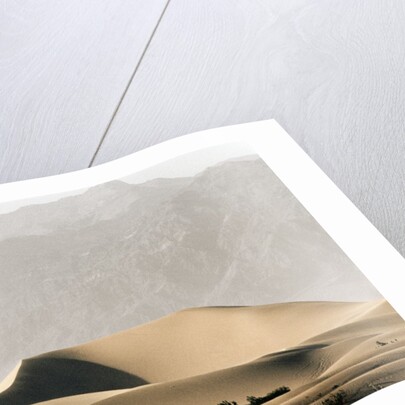 Dunes in the Desert by Anonymous
