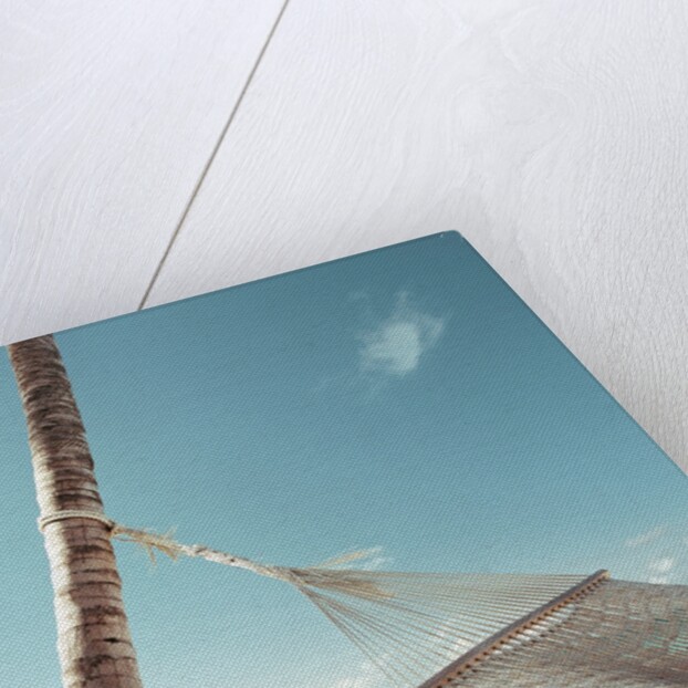 Hammock on Beach by Anonymous
