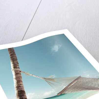 Hammock on Beach by Anonymous