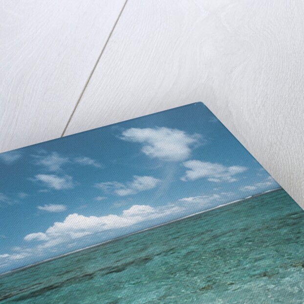 Shallow Area of the Ocean by Anonymous