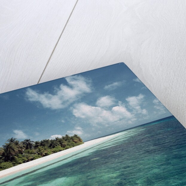 Shallow Water Near Beach by Anonymous