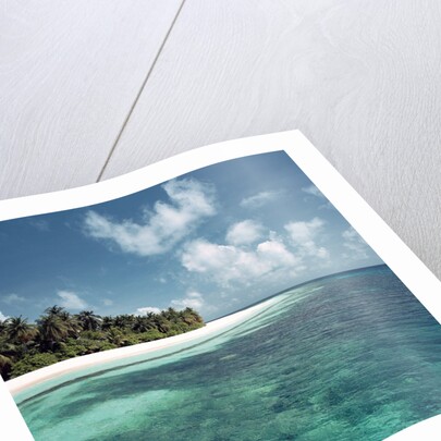 Shallow Water Near Beach by Anonymous