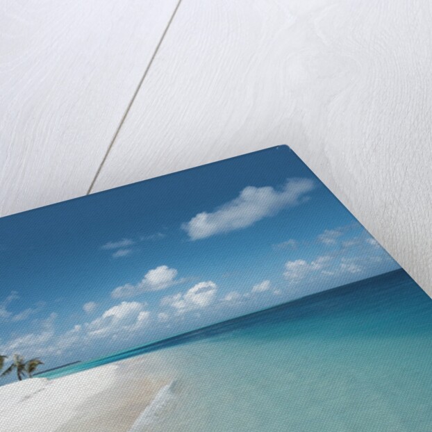 Beach and Surf by Anonymous