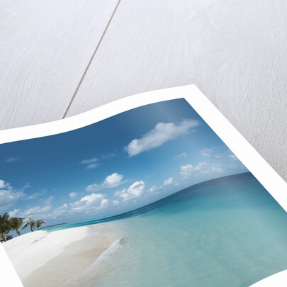 Beach and Surf by Anonymous