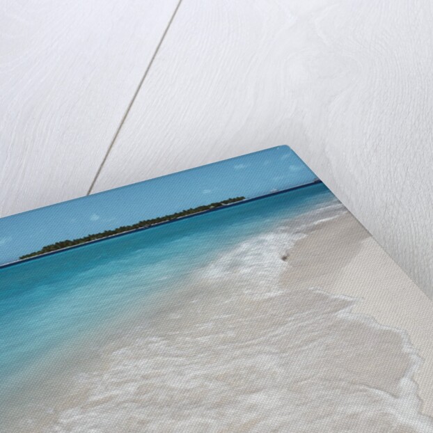 Beach and Surf by Anonymous