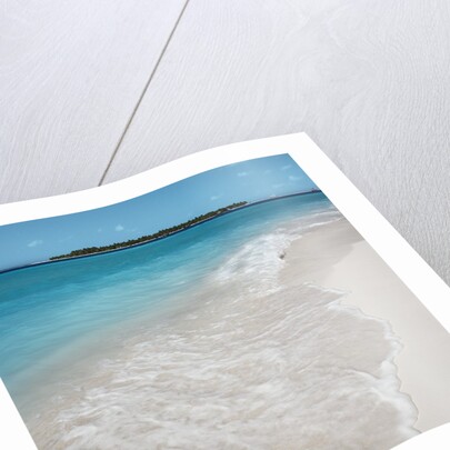 Beach and Surf by Anonymous