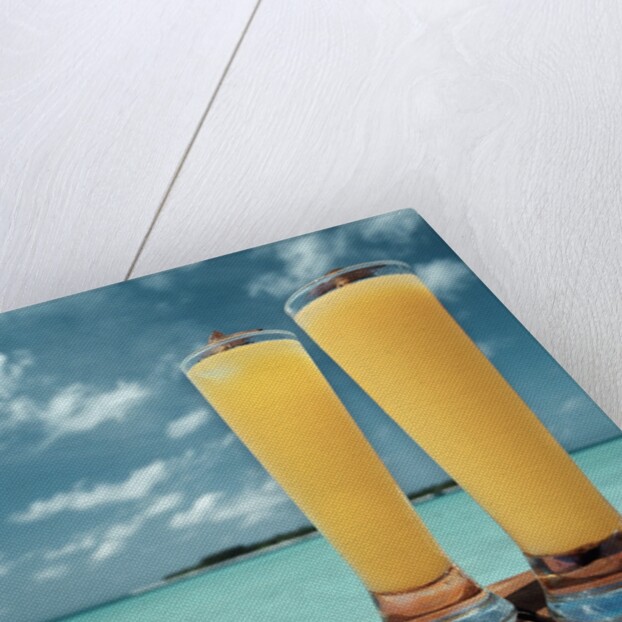 Tropical Cocktails by Anonymous