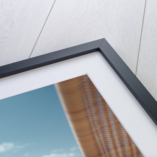 Beach Chairs on a Beach by Anonymous
