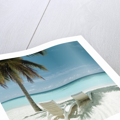 Palm Tree and Beach Chair by Anonymous