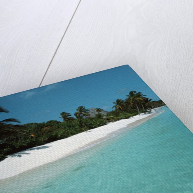 Shallow Water Near a Tropical Beach by Anonymous