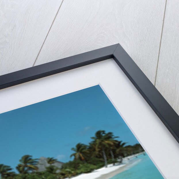 Shallow Water Near a Tropical Beach by Anonymous