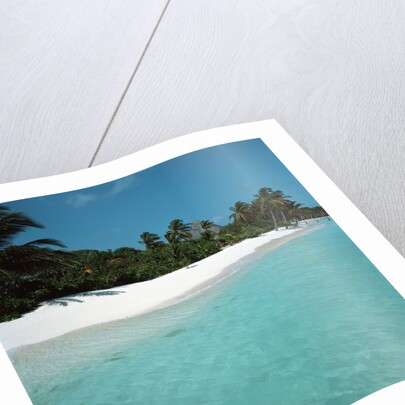 Shallow Water Near a Tropical Beach by Anonymous