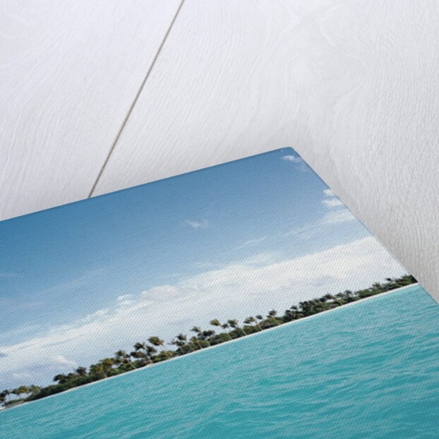 Shallow Water Near Tropical Island by Anonymous