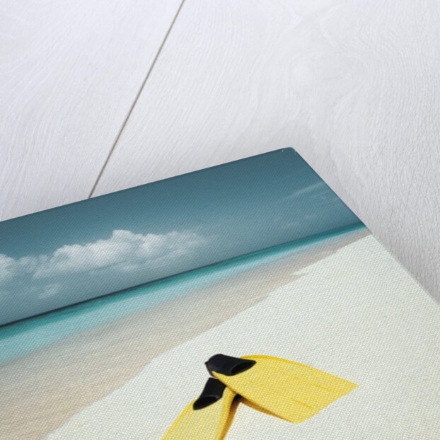Swim Fins on the Beach by Anonymous