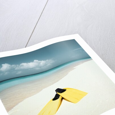 Swim Fins on the Beach by Anonymous