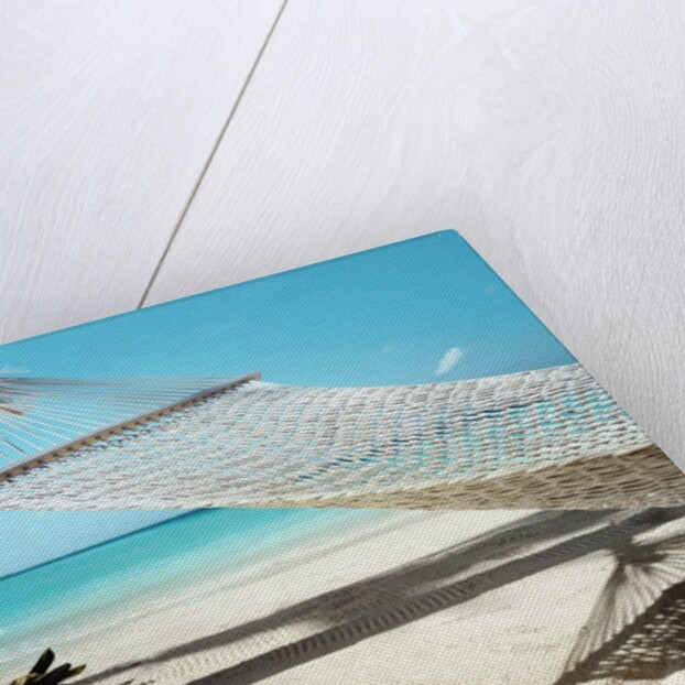Hammock at the Beach by Anonymous