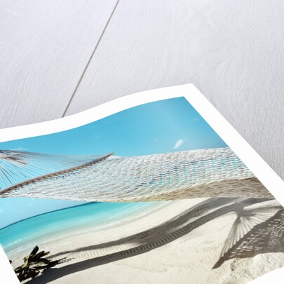 Hammock at the Beach by Anonymous