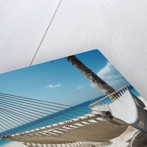 Hammock on a Beach by Anonymous